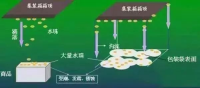 集裝箱里進水，誰的錯？如何預防應對？